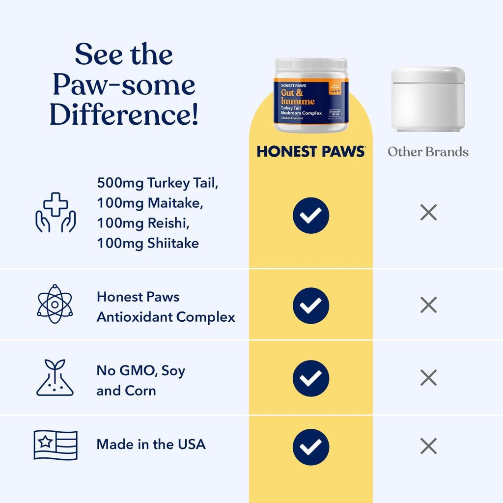 Turkey Tail Mushroom for Dogs, Digestive & Immune Support Powder, 30 Scoops | With Shiitake, Reishi & Maitake plus antioxidant complex; no fillers or additives; great for senior dogs