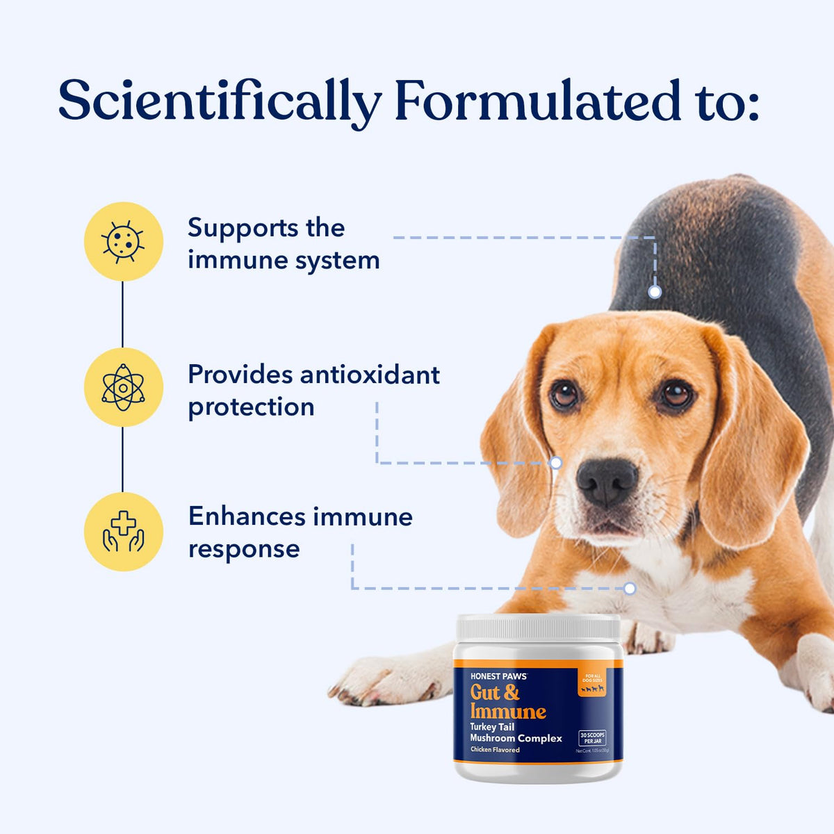 Turkey Tail Mushroom for Dogs, Digestive & Immune Support Powder, 30 Scoops | With Shiitake, Reishi & Maitake plus antioxidant complex; no fillers or additives; great for senior dogs