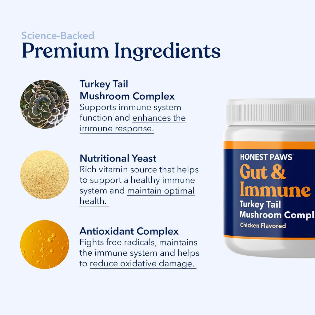 Turkey Tail Mushroom for Dogs, Digestive & Immune Support Powder, 30 Scoops | With Shiitake, Reishi & Maitake plus antioxidant complex; no fillers or additives; great for senior dogs