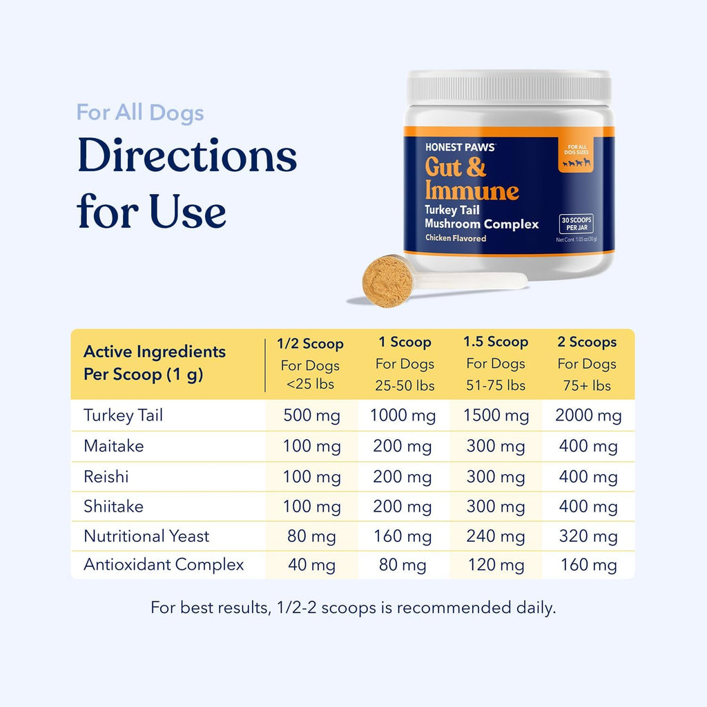 Turkey Tail Mushroom for Dogs, Digestive & Immune Support Powder, 30 Scoops | With Shiitake, Reishi & Maitake plus antioxidant complex; no fillers or additives; great for senior dogs