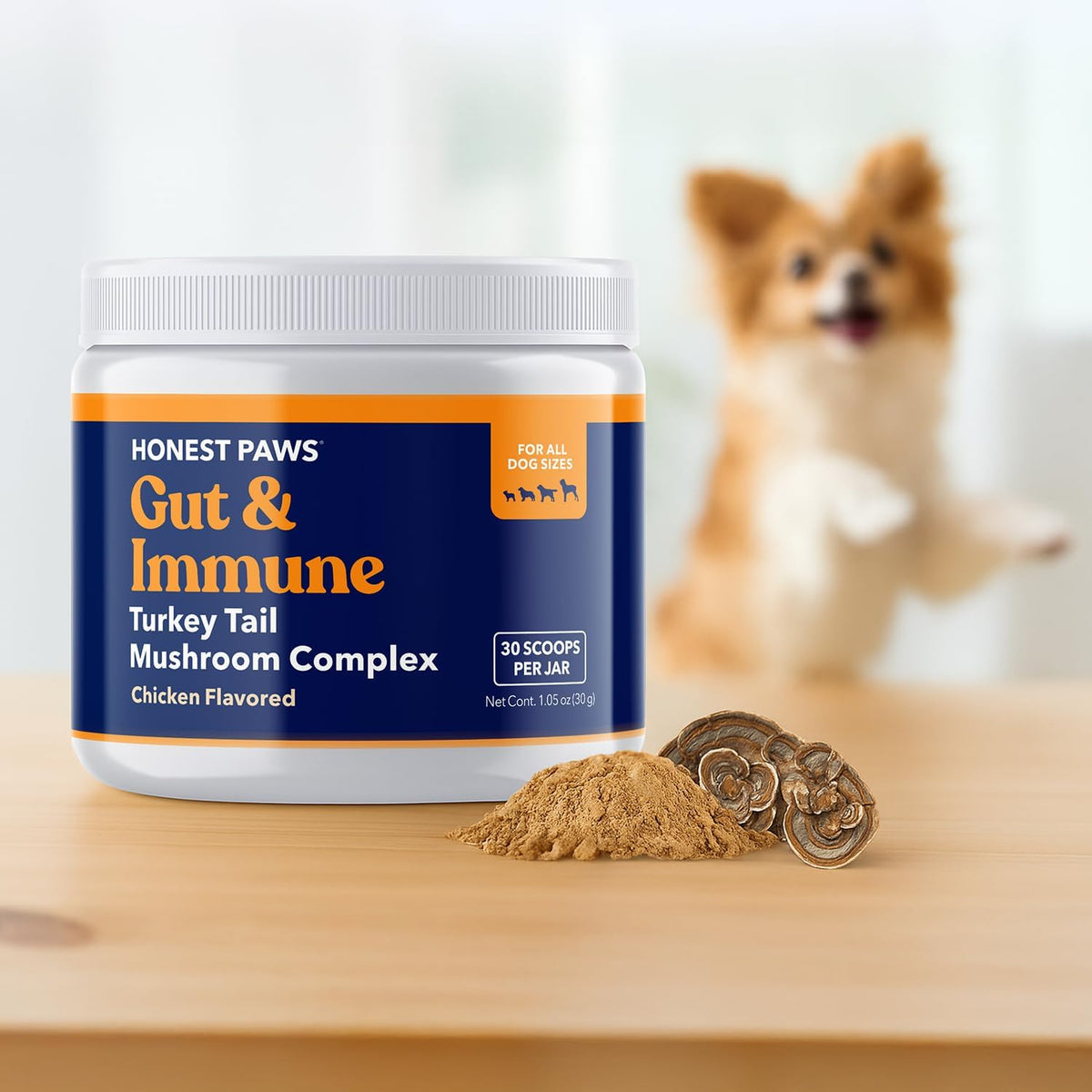 Turkey Tail Mushroom for Dogs, Digestive & Immune Support Powder, 30 Scoops | With Shiitake, Reishi & Maitake plus antioxidant complex; no fillers or additives; great for senior dogs