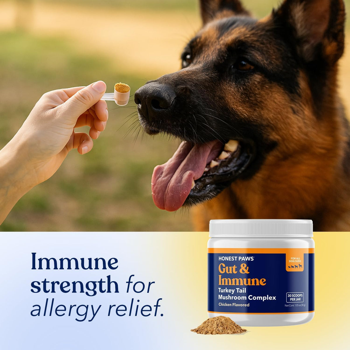 Turkey Tail Mushroom for Dogs, Digestive & Immune Support Powder, 30 Scoops | With Shiitake, Reishi & Maitake plus antioxidant complex; no fillers or additives; great for senior dogs