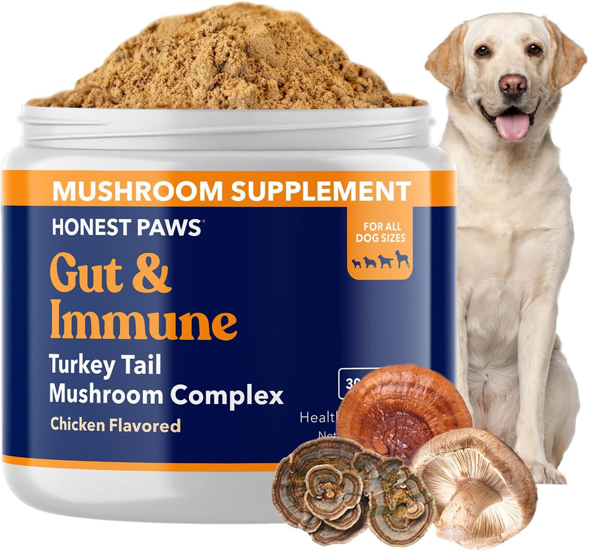 Turkey Tail Mushroom for Dogs, Digestive & Immune Support Powder, 30 Scoops | With Shiitake, Reishi & Maitake plus antioxidant complex; no fillers or additives; great for senior dogs