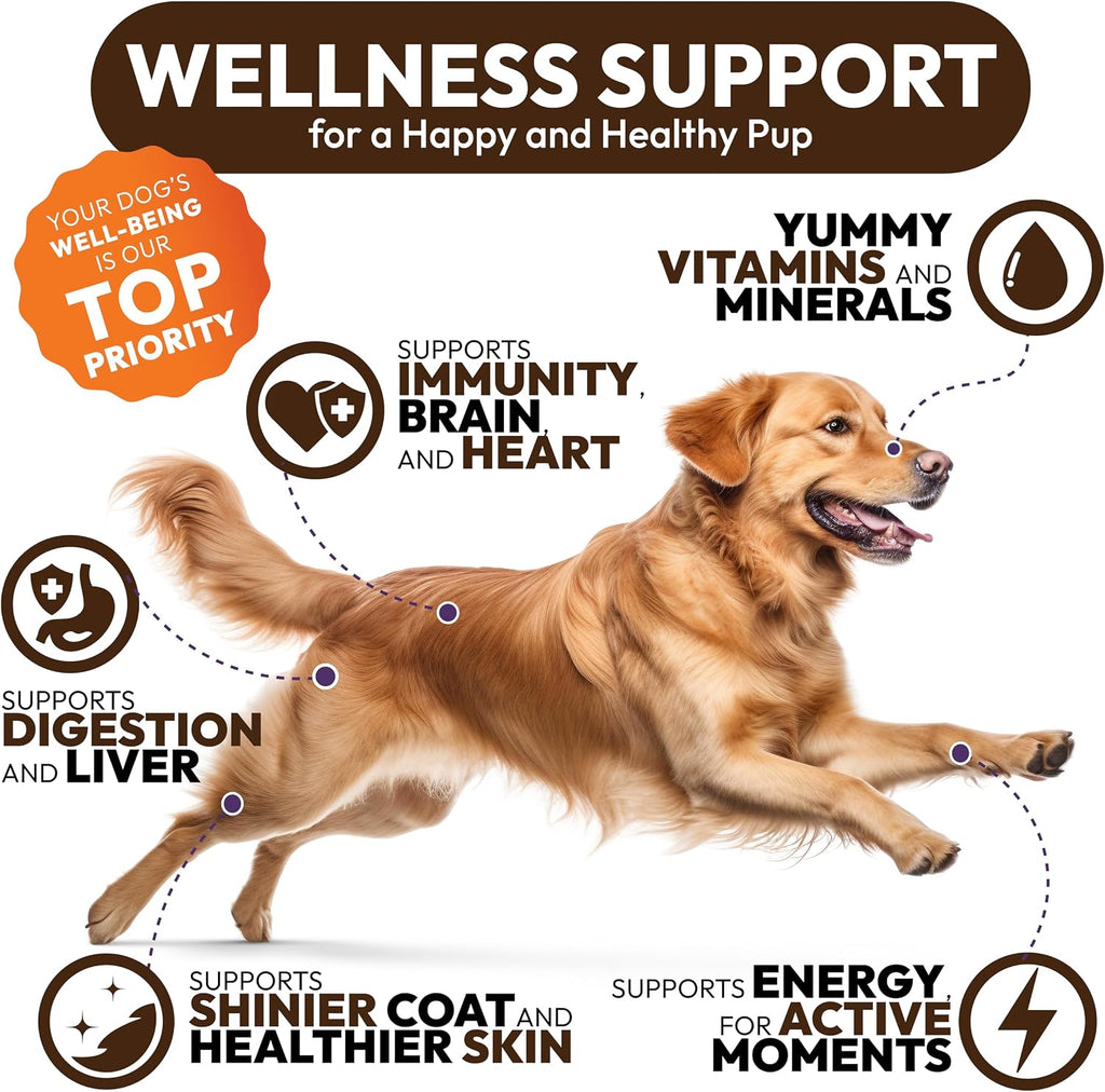 Turkey Tail Mushroom for Dogs - 250 Chews - Lion’s Mane - Shiitake - Reishi - Buddy Immune Support Guard - Lipoma Mushroom Supplement for Dogs Lumps and Bumps Glucosamine, Health Vitamins Multivitamin