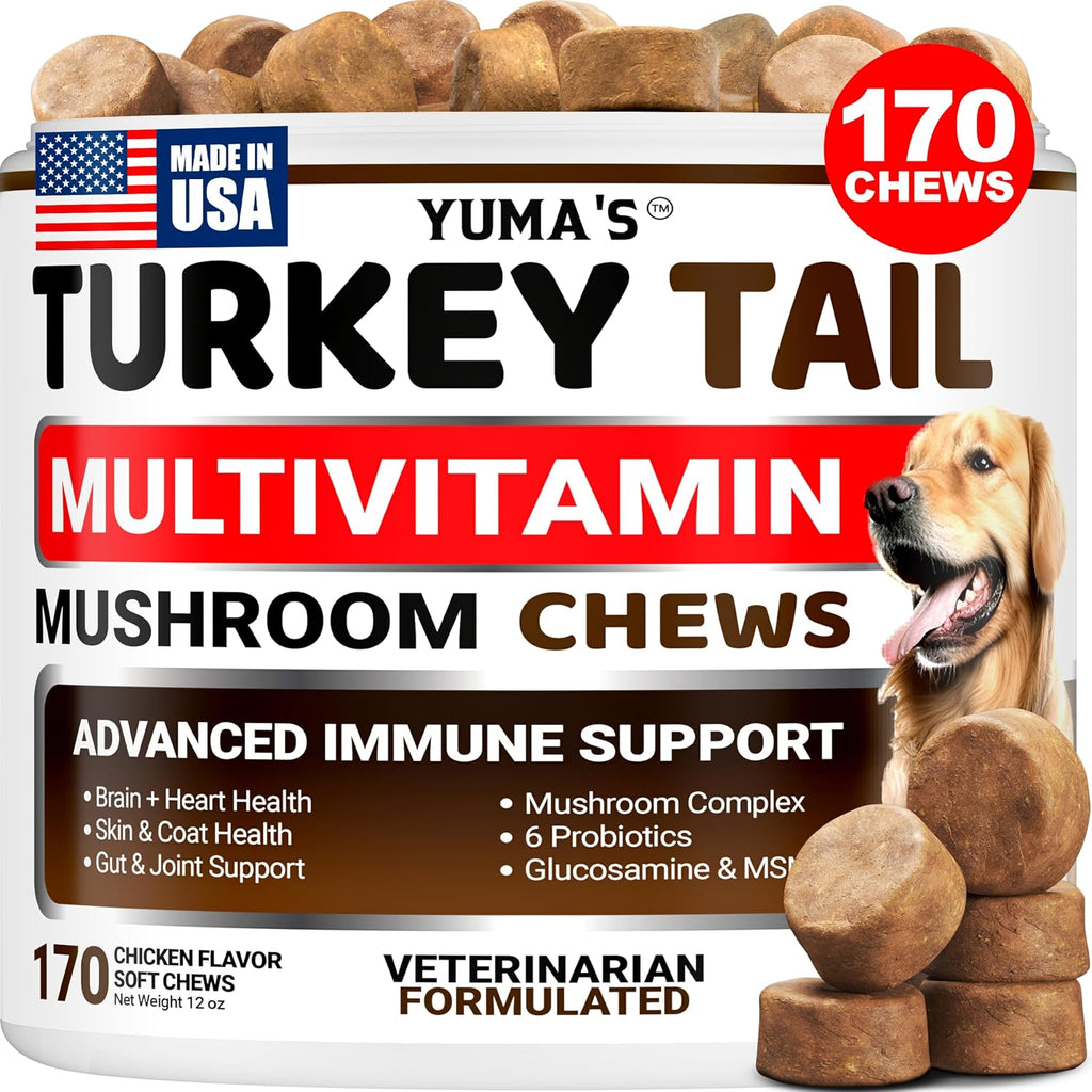 Turkey Tail Mushroom for Dogs - 170 Count - Mushroom Chews for Dogs | Dog Supplement for Lipoma Lumps & Bumps - Immune Health, Digestive, Skin, Energy & Joint Support - Guard Buddy Multivitamin