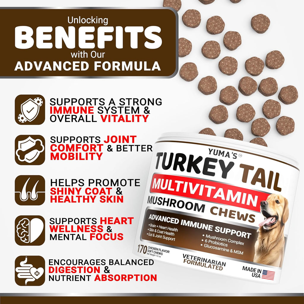 Turkey Tail Mushroom for Dogs - 170 Count - Mushroom Chews for Dogs | Dog Supplement for Lipoma Lumps & Bumps - Immune Health, Digestive, Skin, Energy & Joint Support - Guard Buddy Multivitamin