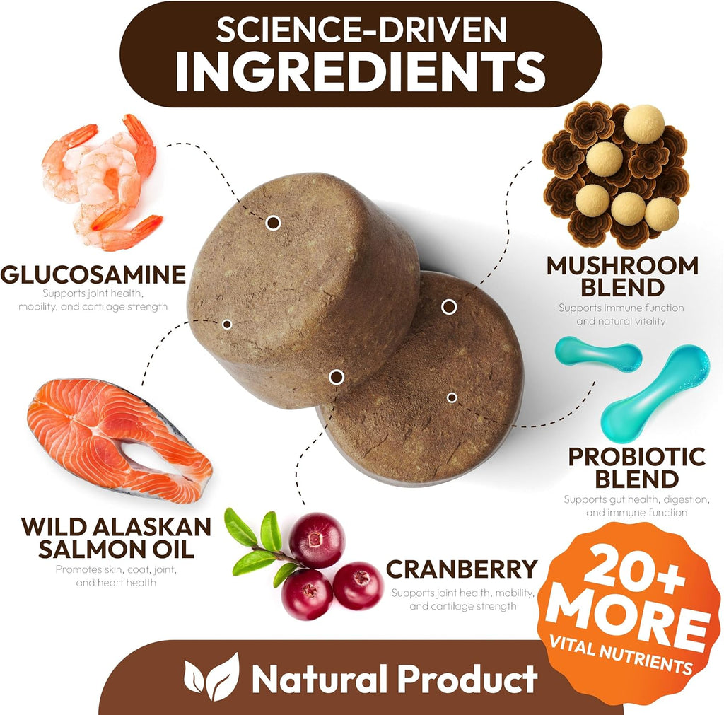 Turkey Tail Mushroom for Dogs - 250 Chews - Lion’s Mane - Shiitake - Reishi - Buddy Immune Support Guard - Lipoma Mushroom Supplement for Dogs Lumps and Bumps Glucosamine, Health Vitamins Multivitamin