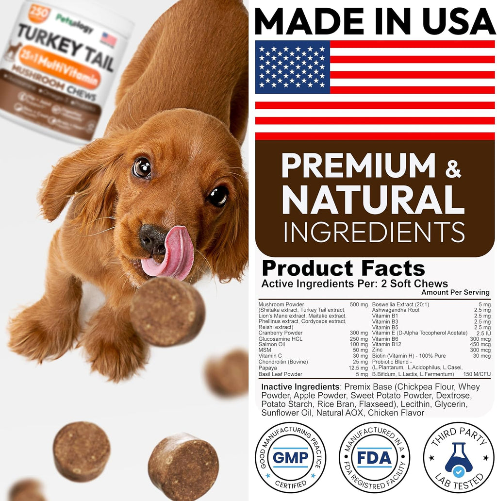 Turkey Tail Mushroom for Dogs - 250 Chews - Lion’s Mane - Shiitake - Reishi - Buddy Immune Support Guard - Lipoma Mushroom Supplement for Dogs Lumps and Bumps Glucosamine, Health Vitamins Multivitamin