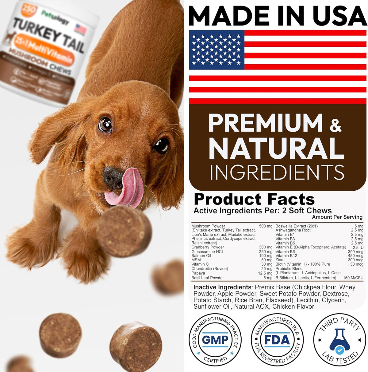 Turkey Tail Mushroom for Dogs - 250 Chews - Lion’s Mane - Shiitake - Reishi - Buddy Immune Support Guard - Lipoma Mushroom Supplement for Dogs Lumps and Bumps Glucosamine, Health Vitamins Multivitamin
